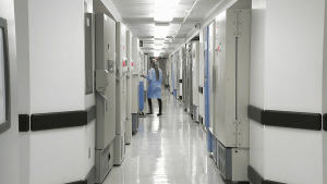 Healthcare & Clinics